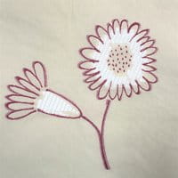 Ecru et Framboise